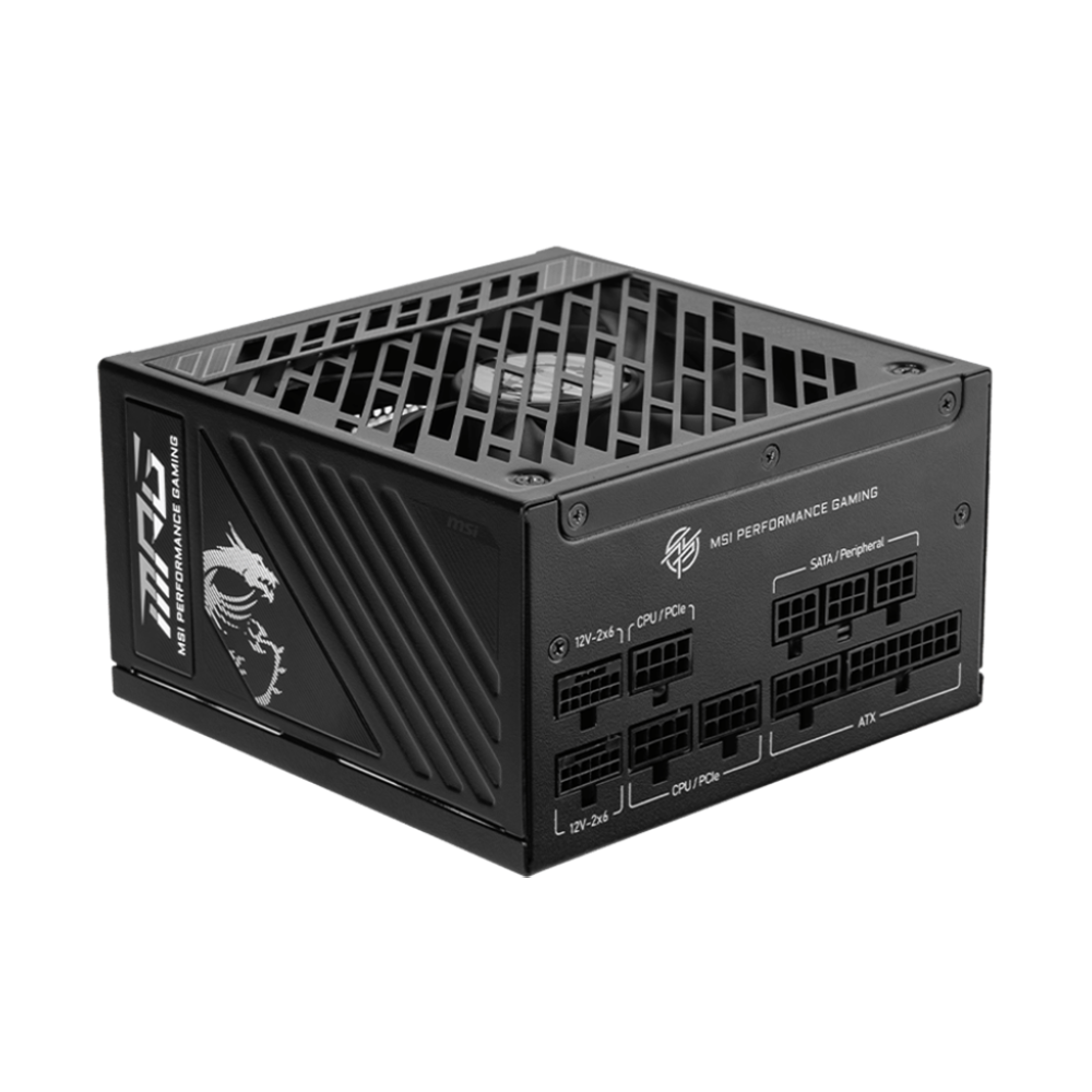 1250 Watt MSI MPG A1250GS PCIE5